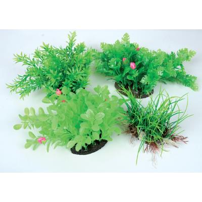 Comparer les prix de Aeroplant Diffuseur Vert M