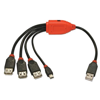 Câble USB 2.0 + hub 4 ports