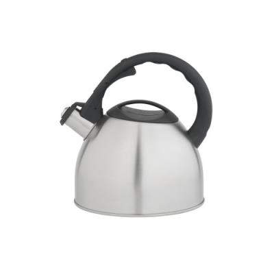 Bredemeijer 3800 universal bouilloire acier inoxydable métal satiné 2,5 l