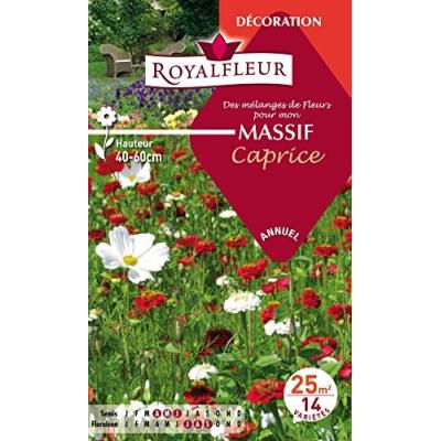 Royalfleur Pfrf08697 Graines De Mélange De Fleurs Mon Massif Caprice 25 M²