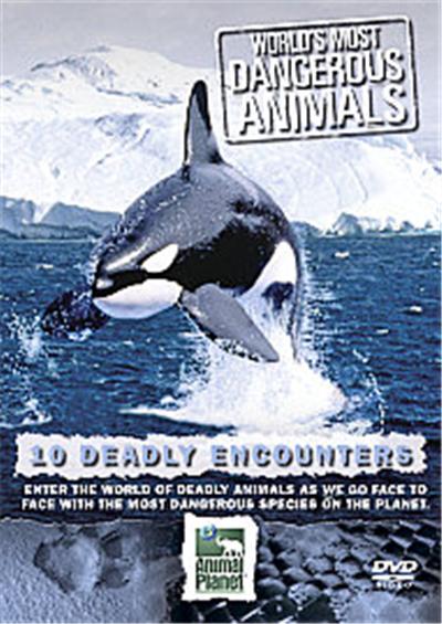 World's Most Dangerous Animals - Deadly Encounters
