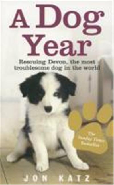 Dog Year