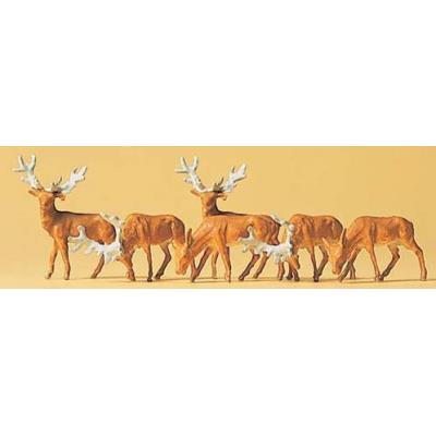 cerfs