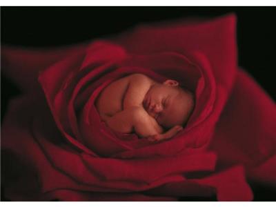 Schmidt - Puzzle Set En Boîte Métal