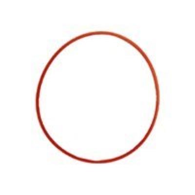 Olympus POL-U1 - O-ring