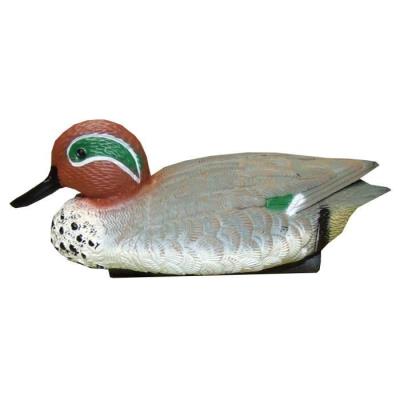 TERRITOIRE CHASSE 1 Appelant Canard Sarcelle d'Hiver Male 40 cm