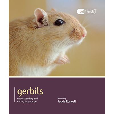 Gerbils - Pet Friendly
