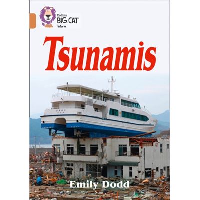 Tsunamis Band 12Copper