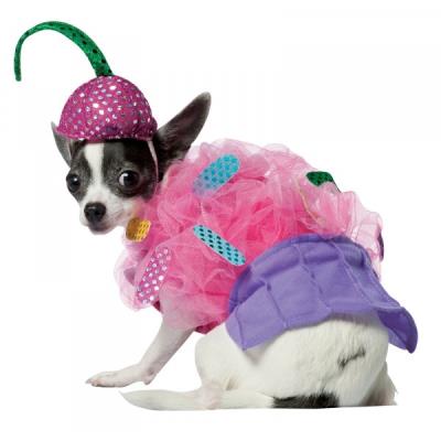 Costume de cupcake pour chien - XL
