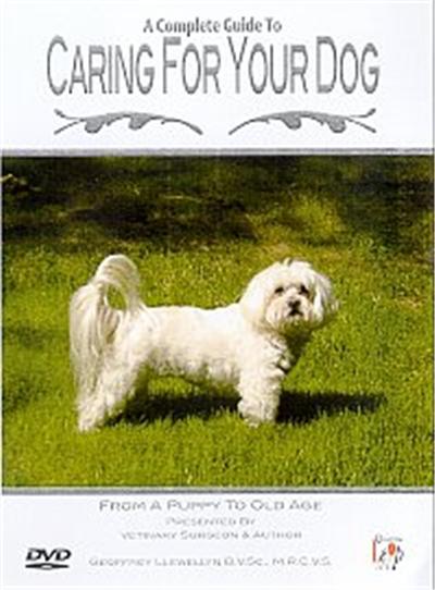 A Complete Guide To Caring For Your Dog - From A Puppy To Old Age