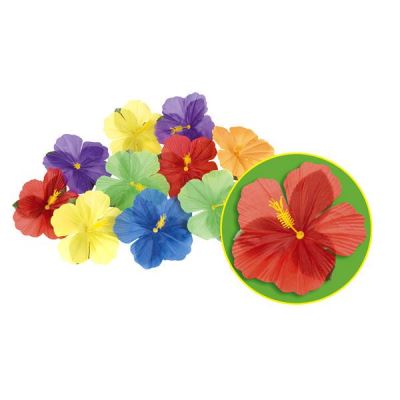 24 fleurs hibiscus