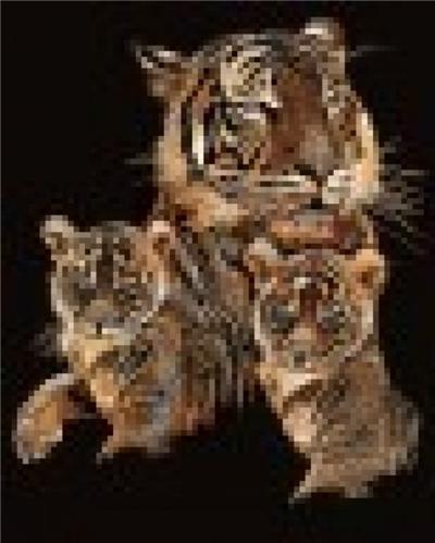 Scraper - Cuivre 20 x 25 cm - Le tigre et ses petits