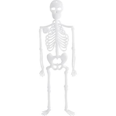 4 Squelettes phosphorescents ''Spooky Bones'' 32 cm