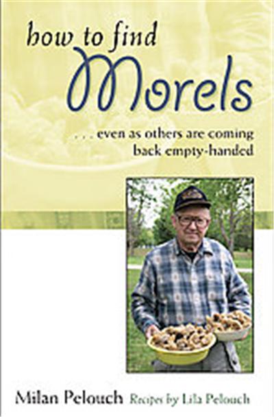 How to Find Morels