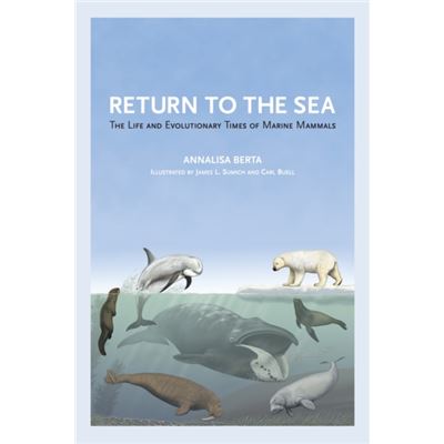 Return To The Sea: The Life And Evolutionary Times Of Marine Mammals (Hardcover)