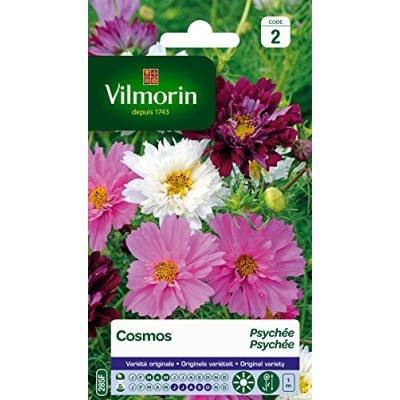 Vilmorin 5248142 Pack De Graines Cosmos Psyché Varié