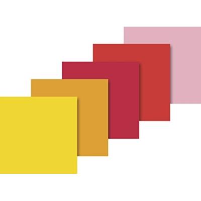 Baier schneider &- papier de soie - 50 x 70 cm-couleur rouge 5 coloris - 10 feuilles baier & schneider 203375729