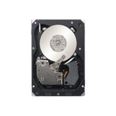 MicroStorage - disque dur - 300 Go - SAS 6Gb/s