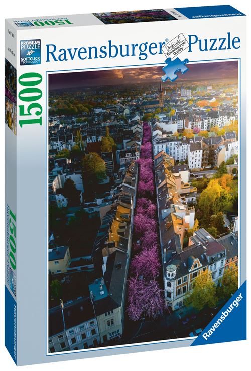 Puzzle 1500 Pièces Ravensburger Bonn En Fleurs