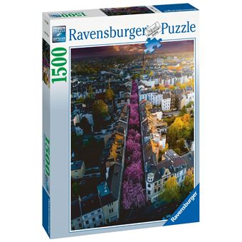 Puzzle 1500 pièces Ravensburger Bonn en fleurs - 1