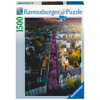 Puzzle 1500 pièces Ravensburger Bonn en fleurs