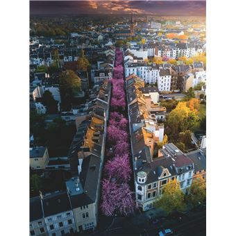 Puzzle 1500 pièces Ravensburger Bonn en fleurs