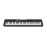 Clavier nomade Casio CT-S300 61 touches 400 sons Noir_1