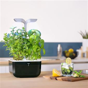 Potager d’intérieur connecté Véritable Exky Smart Noir