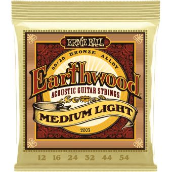 Jeu de cordes guitare acoustique Ernie Ball 2003 Earthwood 80/20 Bronze Medium Light 12-54