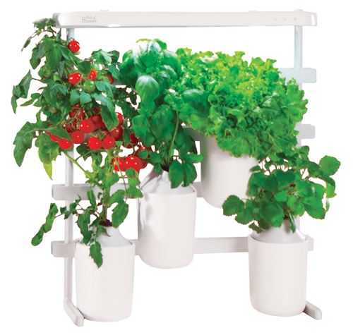 Capsule Prêt à Pousser Mini-Tomates