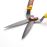 Cisaille à buis Outils Wolf_1