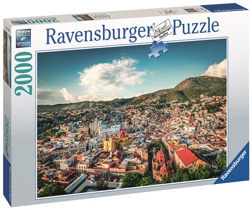 Ravensburger - Puzzles adultes - Puzzle 3000 pièces - Carte de la flore et  de la faune