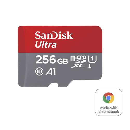 SANDISK SDSQUA4-256G-GN6