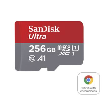 Carte mémoire MicroSD UHS-I SanDisk Ultra A1 256 Go Rouge et gris - Carte  mémoire micro SD