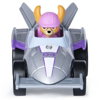 Véhicule Paw Patrol True Métal Ready Race Rescue Modèle aléatoire