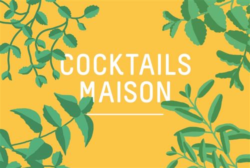 4 Capsules Prêt à Pousser Cocktails d'un soir Maison