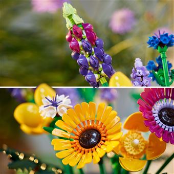 LEGO Icons Pack Botanique : Comprend un Bouquet de Fleurs Sauvages (10313)  et une Orchidée (10311), Collection Botanique avec des Fleurs et Plantes