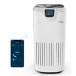 Purificateur d'air Rowenta Pure Home PU8080F0 60 W Blanc