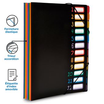 Trieur Vertical Rainbow 12 Compartiments Viquel - Soufflets Polypro Multicolore