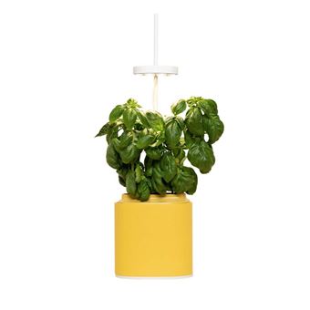 Jardin d'intérieur connecté Prêt à Pousser Nano Garden 2,5 W Jaune - 1