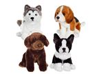Animal en peluche Gipsy Chiens réalistes assis 25 cm Modèle aléatoire