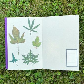 Journal illustré Alibabette Au jardin