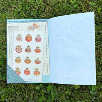 Journal illustré Alibabette Au jardin