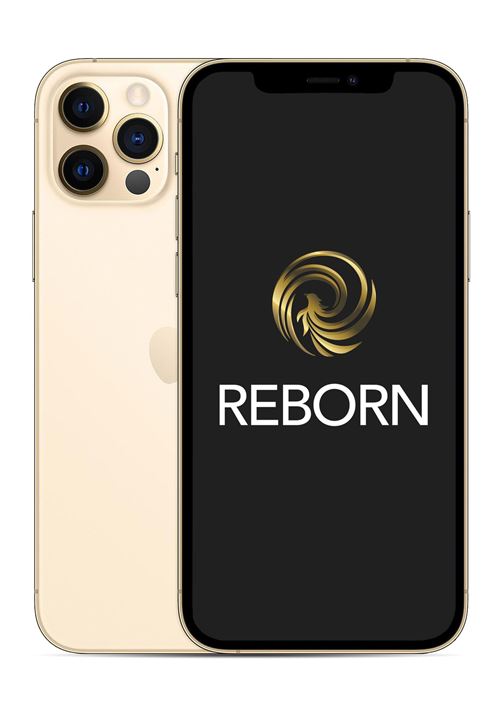 Apple iPhone 12 Pro 6,1 5G Double SIM 256 Go Gold -Reconditionné Grade A Reborn