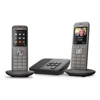 Gigaset AL170A Duo - Téléphone sans fil - L36852-H2822-N121