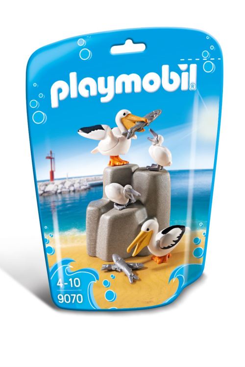 Pelikaanfamilie / Famille de pélicans
