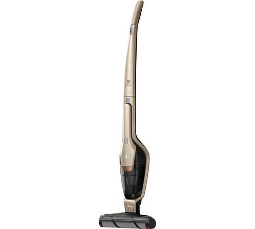 Aspirateur balai sans fil Electrolux Ergorapido Doré