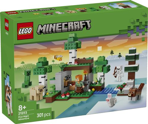 LEGO Minecraft L’aventure de la Première Nuit 21593