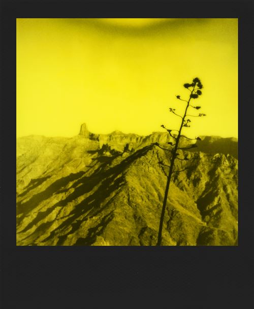 Film 600 Polaroid Edition Duochrome Noir et Jaune