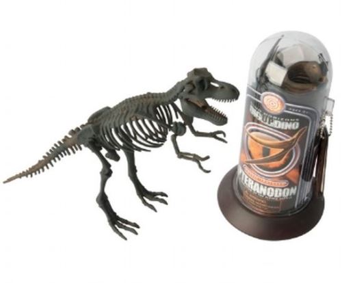 Squelette dinosaure en tube Magnoidz